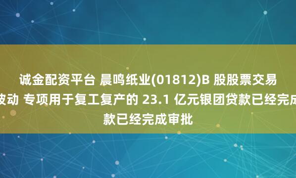 诚金配资平台 晨鸣纸业(01812)B 股股票交易异常波动 专项用于复工复产的 23.1 亿元银团贷款已经完成审批
